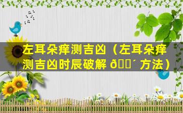 左耳朵痒测吉凶（左耳朵痒测吉凶时辰破解 🐴 方法）